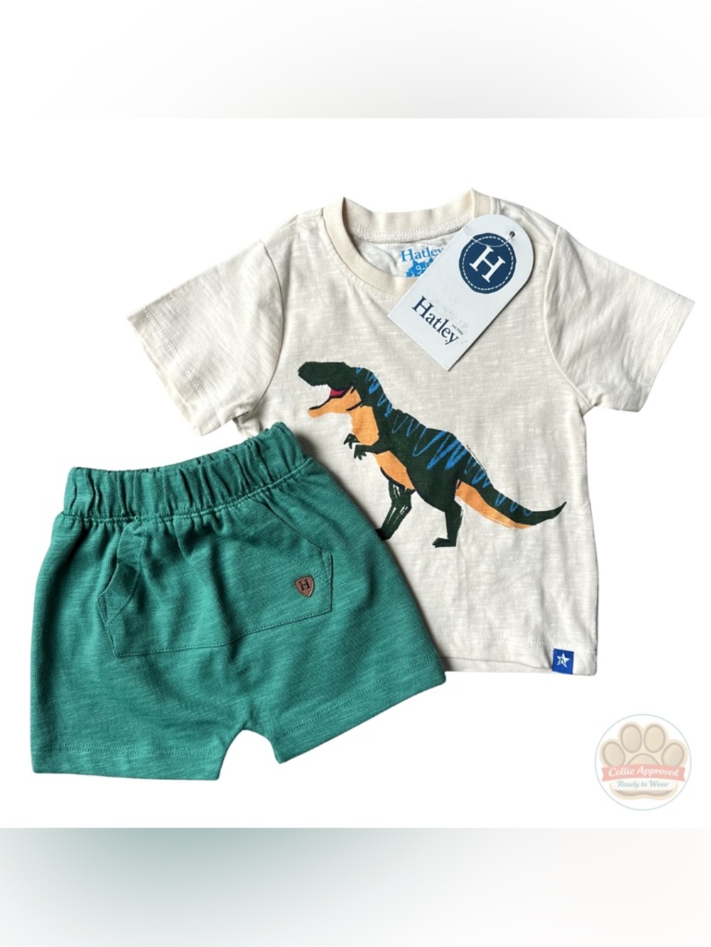 Hatley Cream Tee with Green Dino Graphic and Teal Shorts
